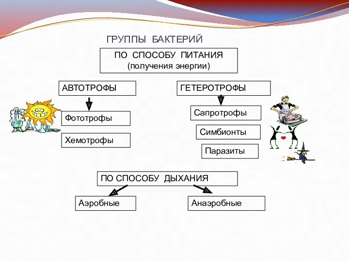 ПО СПОСОБУ ПИТАНИЯ (получения энергии) ГРУППЫ БАКТЕРИЙ АВТОТРОФЫ ГЕТЕРОТРОФЫ Фототрофы