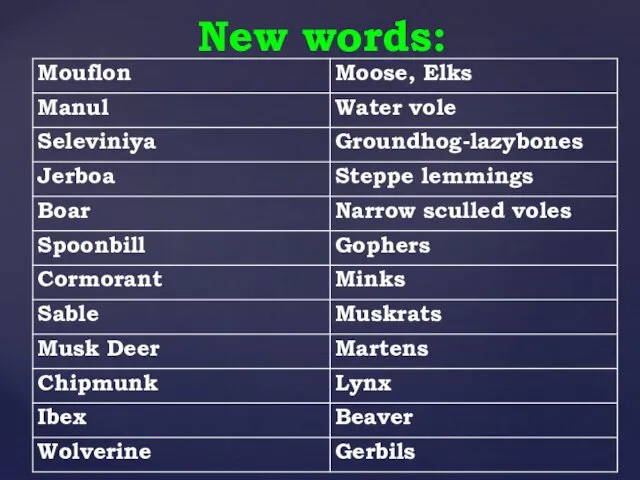 New words: