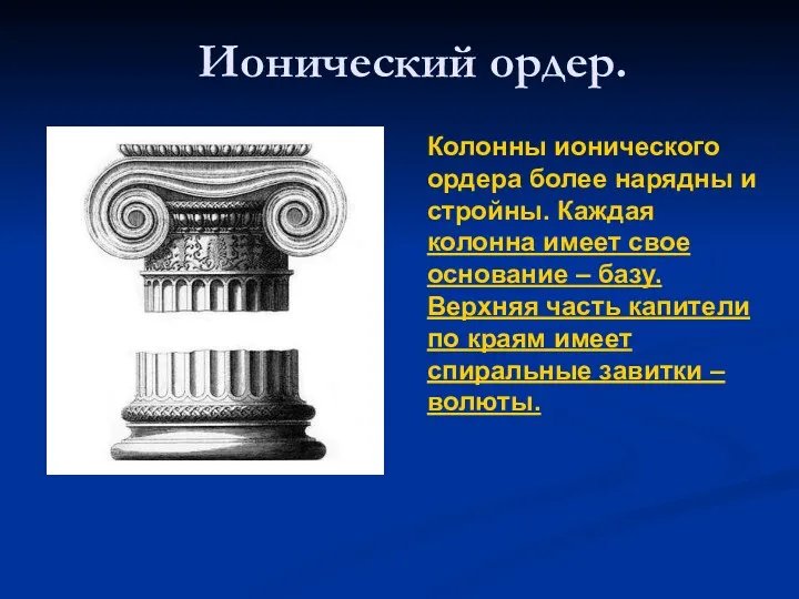 Колонны ионического ордера более нарядны и стройны. Каждая колонна имеет