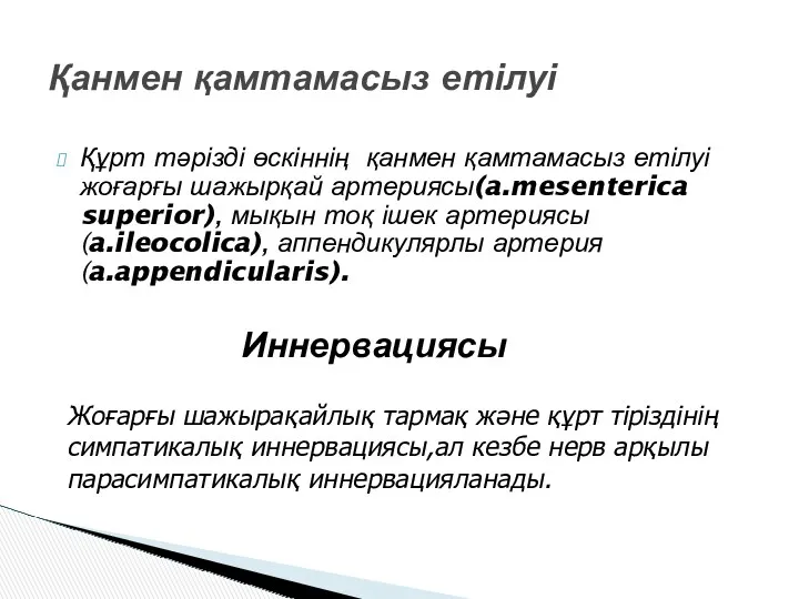 Құрт тәрізді өскіннің қанмен қамтамасыз етілуі жоғарғы шажырқай артериясы(a.mesenterica superior), мықын тоқ ішек