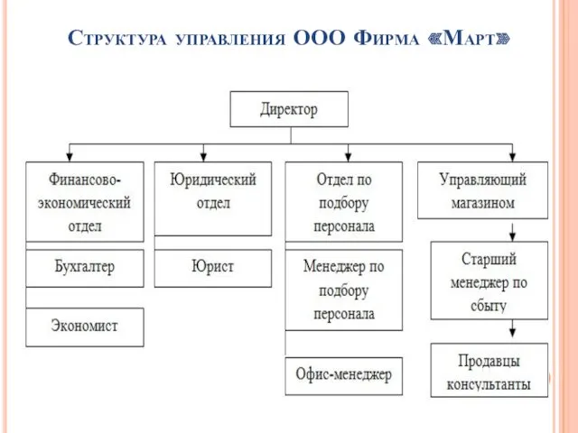 Структура управления ООО Фирма «Март»