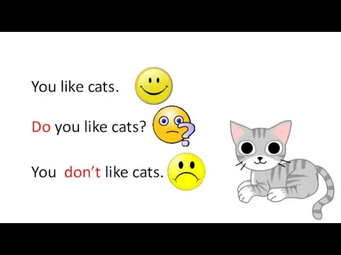 You like cats. Do you like cats? You don’t like cats.