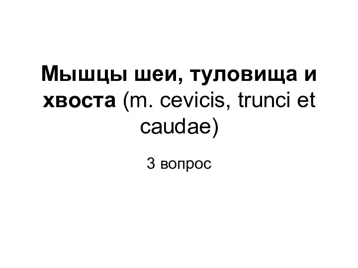 Мышцы шеи, туловища и хвоста (m. cevicis, trunci et caudae) 3 вопрос