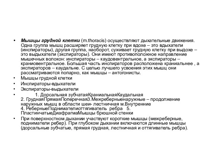 Мышцы грудной клетки (m.thoracis) осуществляют дыхательные движения. Одна группа мышц