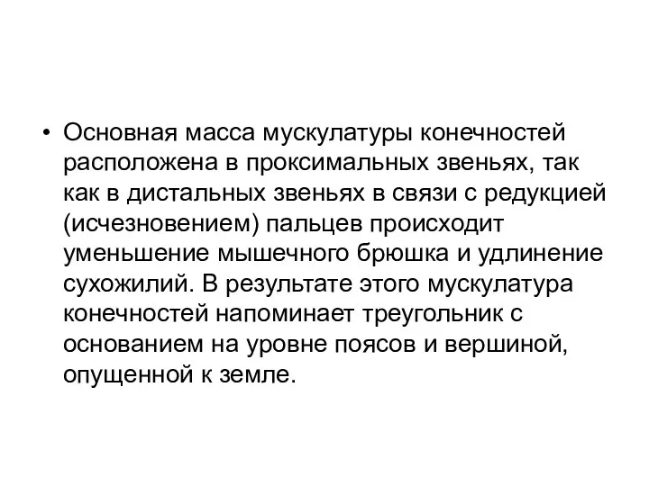 Основная масса мускулатуры конечностей расположена в проксимальных звеньях, так как