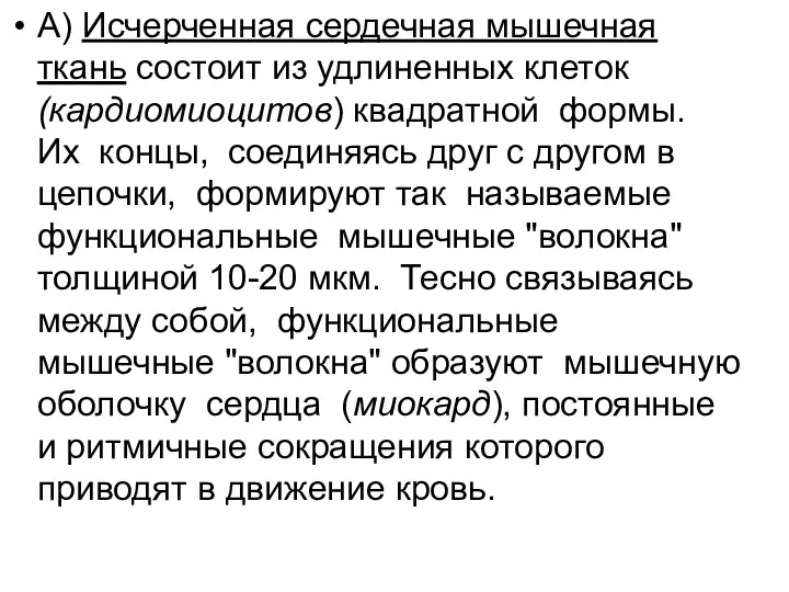 А) Исчерченная сердечная мышечная ткань состоит из удлиненных клеток (кардиомиоцитов)