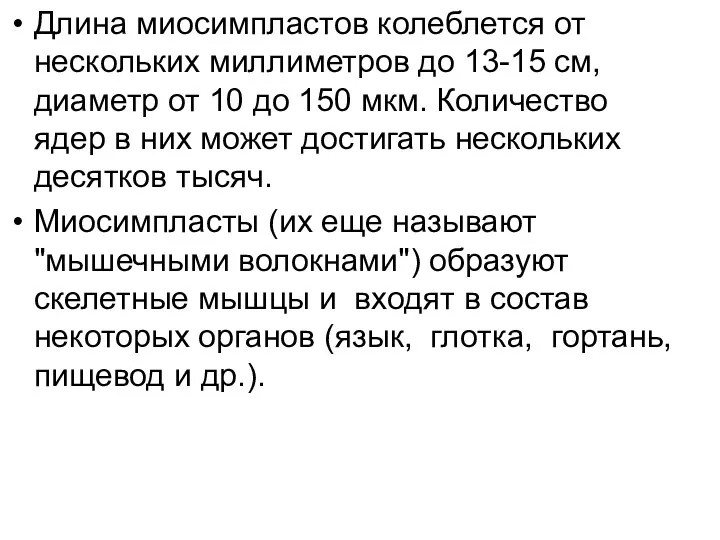 Длина миосимпластов колеблется от нескольких миллиметров до 13-15 см, диаметр