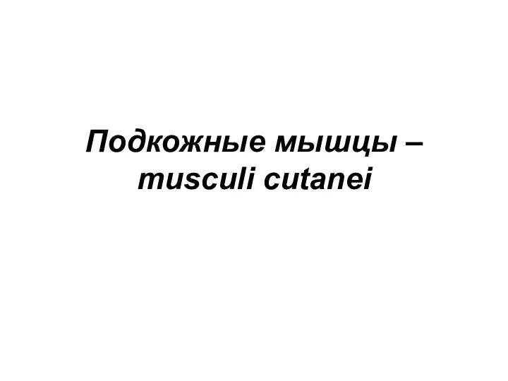 Подкожные мышцы – musculi cutanei