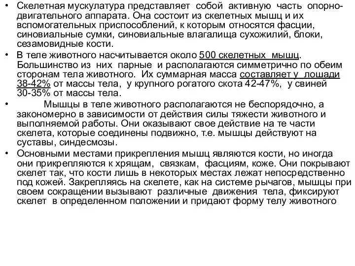 Скелетная мускулатура представляет собой активную часть опорно-двигательного аппарата. Она состоит