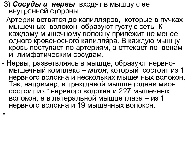 3) Сосуды и нервы входят в мышцу с ее внутренней