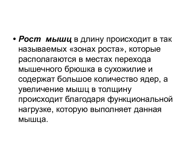 Рост мышц в длину происходит в так называемых «зонах роста»,