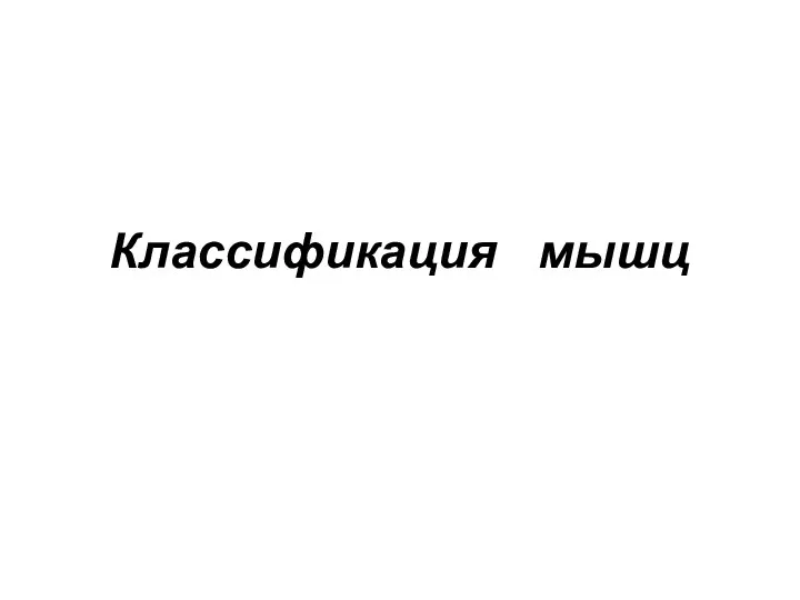 Классификация мышц