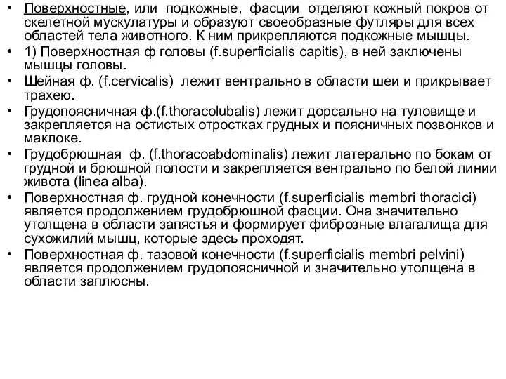 Поверхностные, или подкожные, фасции отделяют кожный покров от скелетной мускулатуры