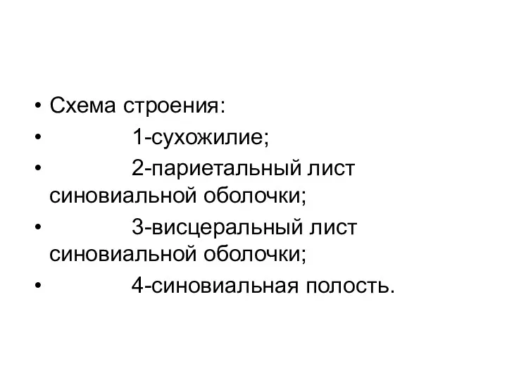 Схема строения: 1-сухожилие; 2-париетальный лист синовиальной оболочки; 3-висцеральный лист синовиальной оболочки; 4-синовиальная полость.