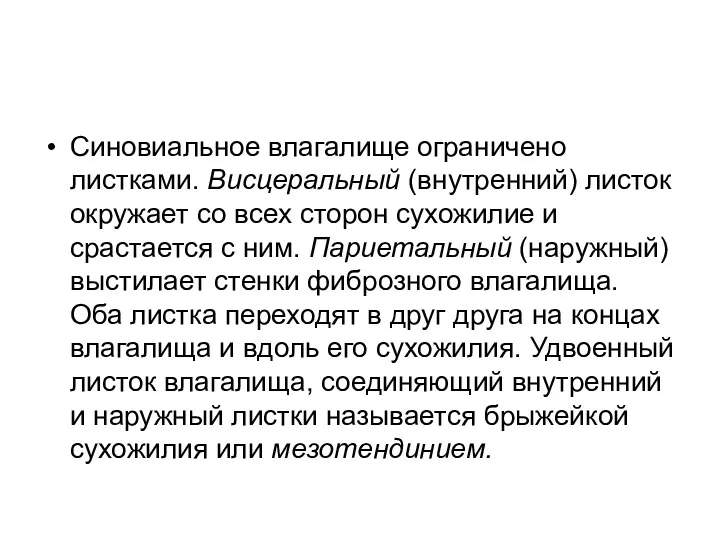 Синовиальное влагалище ограничено листками. Висцеральный (внутренний) листок окружает со всех