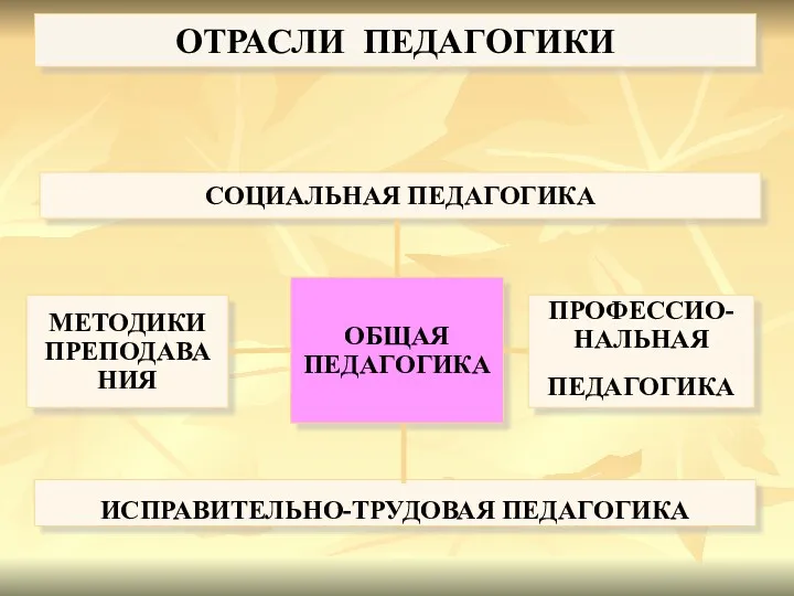 ОТРАСЛИ ПЕДАГОГИКИ ОБЩАЯ ПЕДАГОГИКА СОЦИАЛЬНАЯ ПЕДАГОГИКА МЕТОДИКИ ПРЕПОДАВАНИЯ ПРОФЕССИО-НАЛЬНАЯ ПЕДАГОГИКА ИСПРАВИТЕЛЬНО-ТРУДОВАЯ ПЕДАГОГИКА