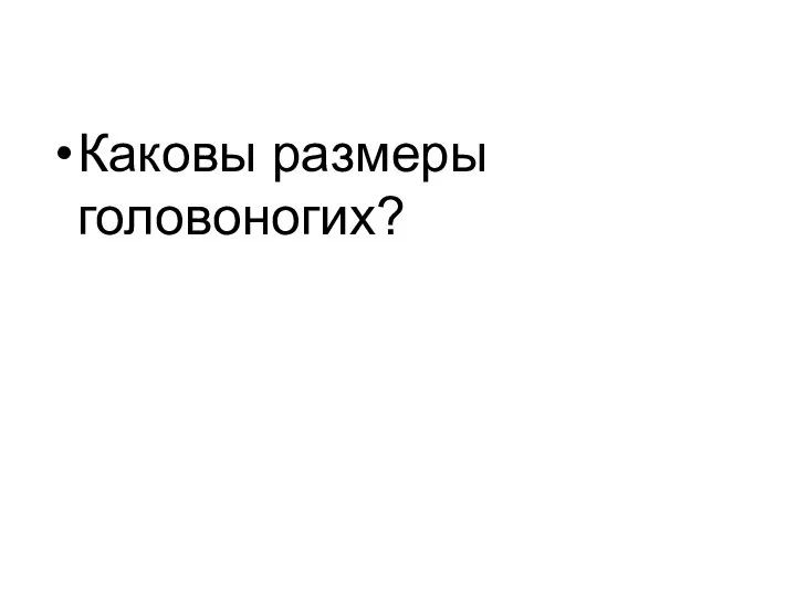 Каковы размеры головоногих?