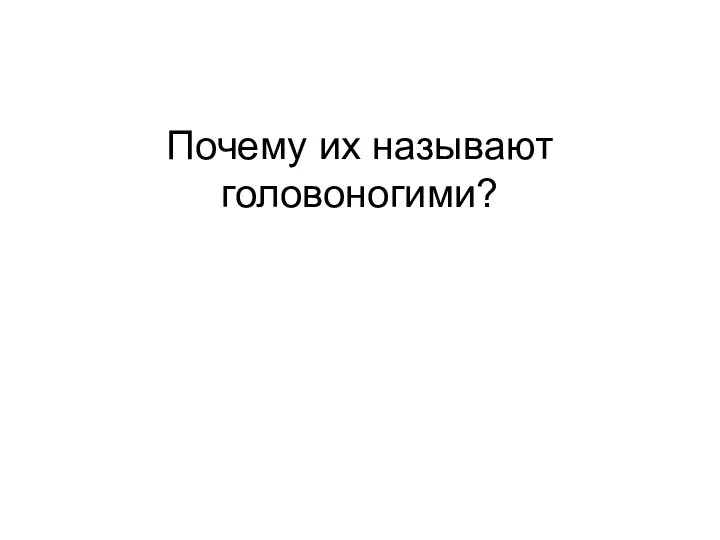 Почему их называют головоногими?