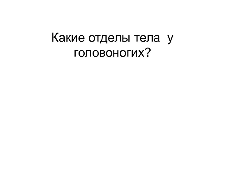 Какие отделы тела у головоногих?