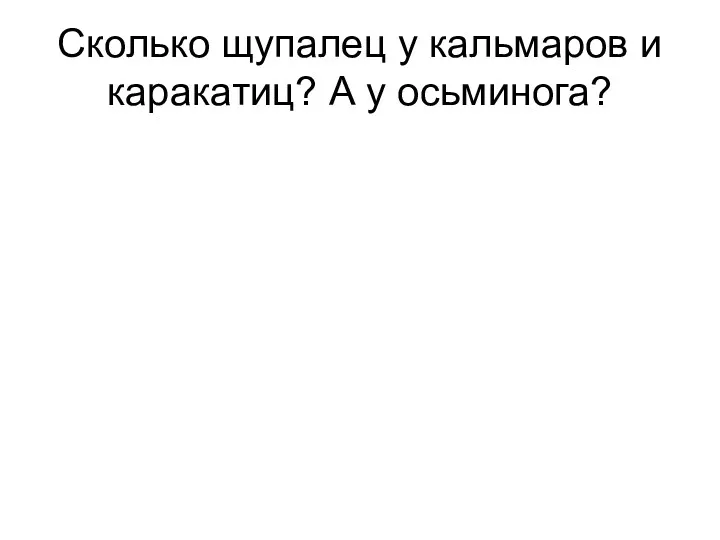 Сколько щупалец у кальмаров и каракатиц? А у осьминога?