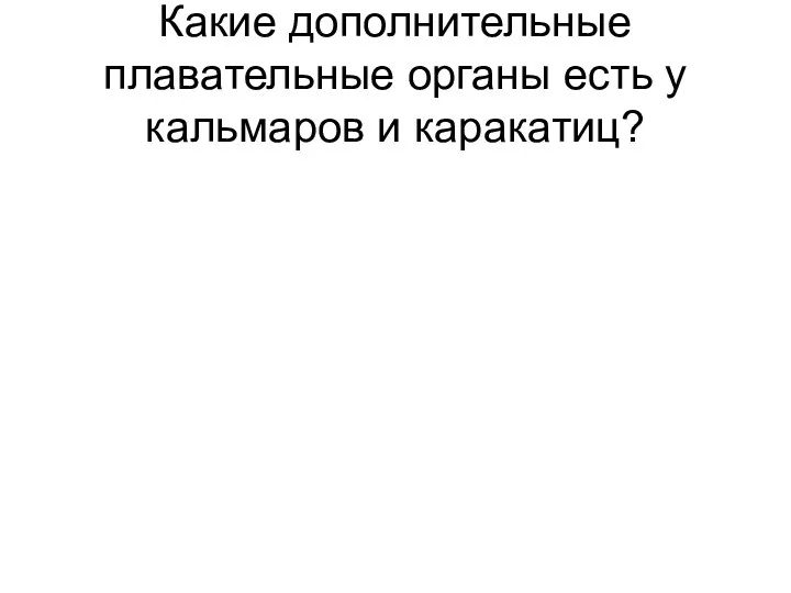 Какие дополнительные плавательные органы есть у кальмаров и каракатиц?