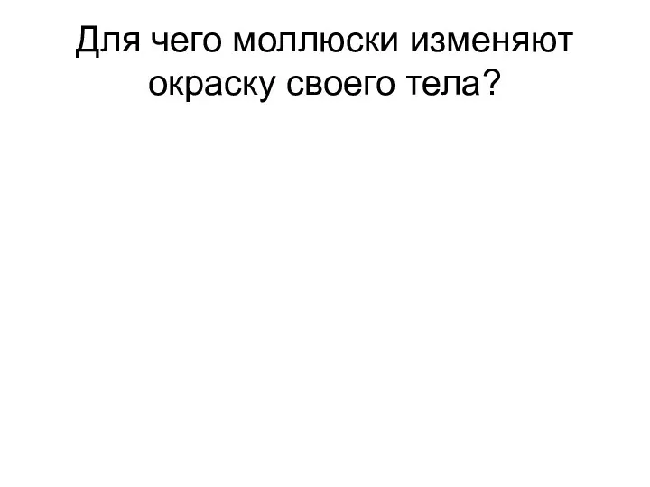 Для чего моллюски изменяют окраску своего тела?