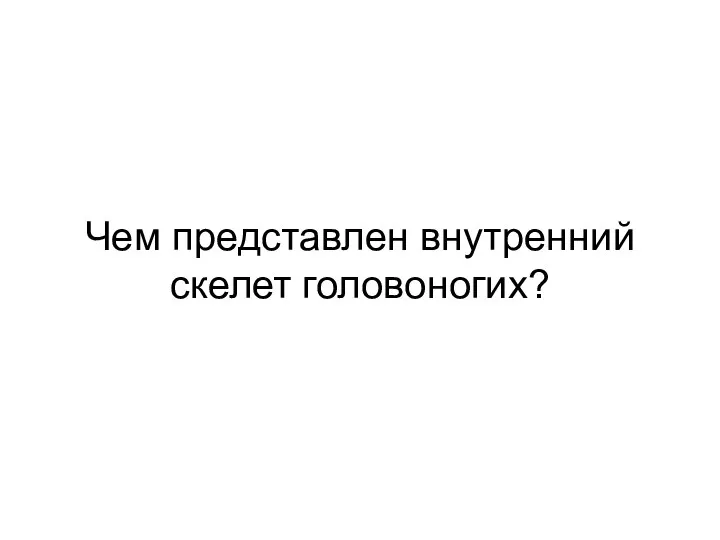 Чем представлен внутренний скелет головоногих?