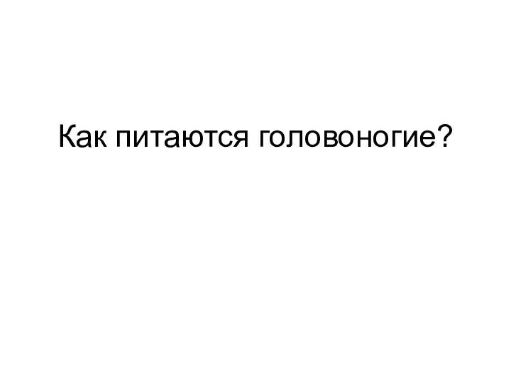 Как питаются головоногие?