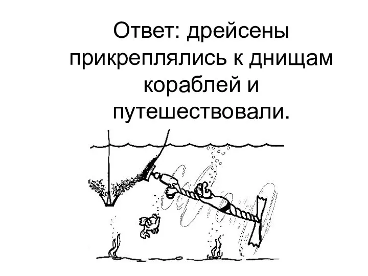 Ответ: дрейсены прикреплялись к днищам кораблей и путешествовали.