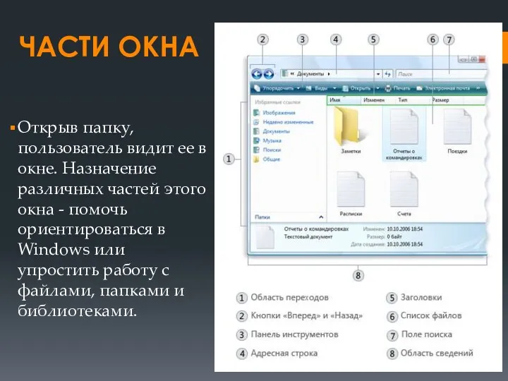 ЧАСТИ ОКНА Открыв папку, пользователь видит ее в окне. Назначение