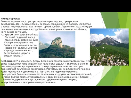 Литературовед: Сначала картина мира, распростертого перед героем, прекрасна и безоблачна.