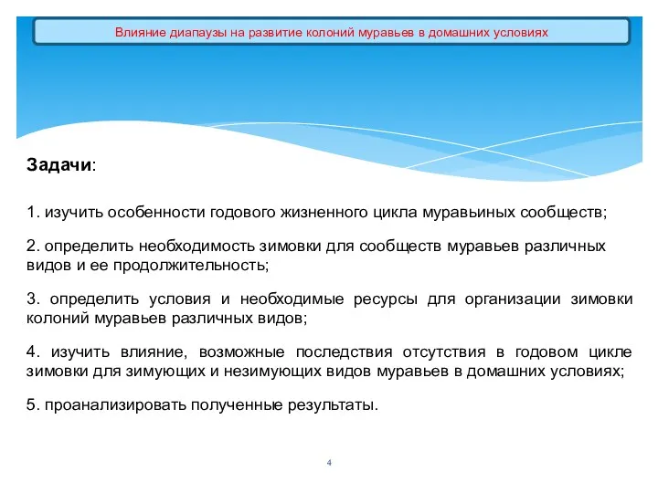 Задачи: 1. изучить особенности годового жизненного цикла муравьиных сообществ; 2.