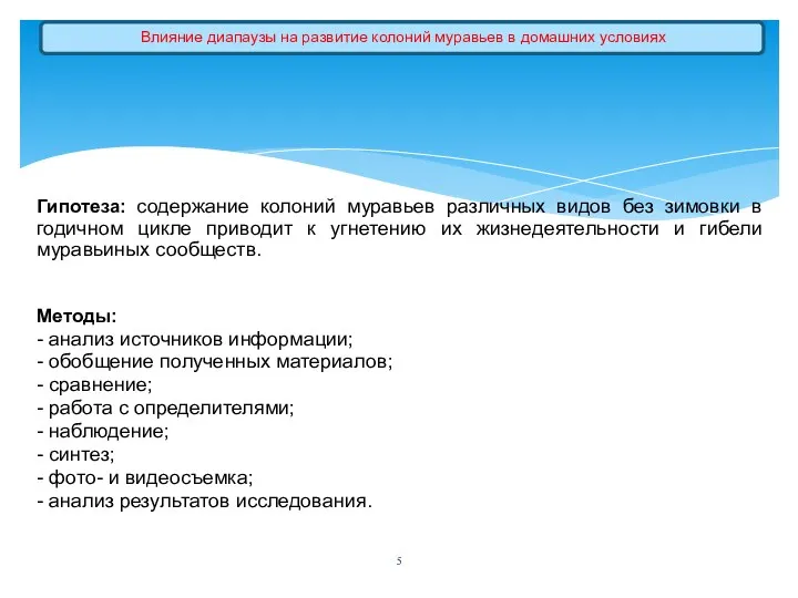 Гипотеза: содержание колоний муравьев различных видов без зимовки в годичном