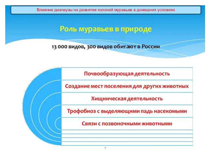 Роль муравьев в природе 13 000 видов, 300 видов обитают