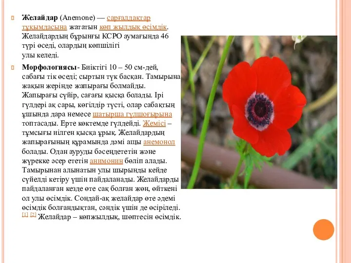 Желайдар (Anemone) — сарғалдақтар тұқымдасына жататын көп жылдық өсімдік. Желайдардың бұрынғы КСРО аумағында