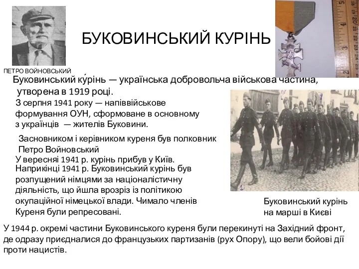 Буковинський ку́рінь — українська добровольча військова частина, утворена в 1919