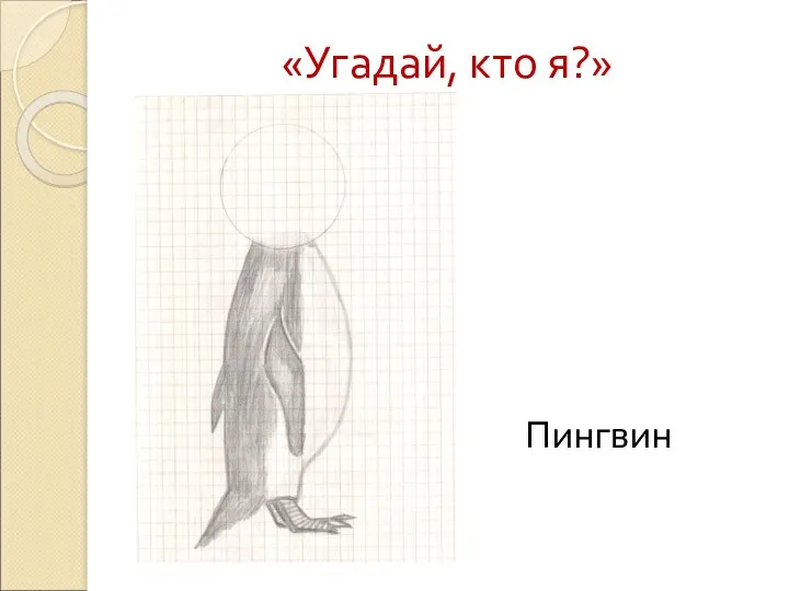 «Угадай, кто я?» Пингвин