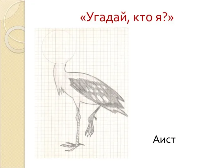 «Угадай, кто я?» Аист