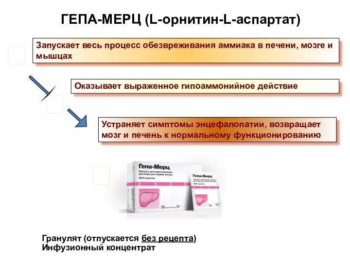 Оказывает выраженное гипоаммонийное действие Запускает весь процесс обезвреживания аммиака в