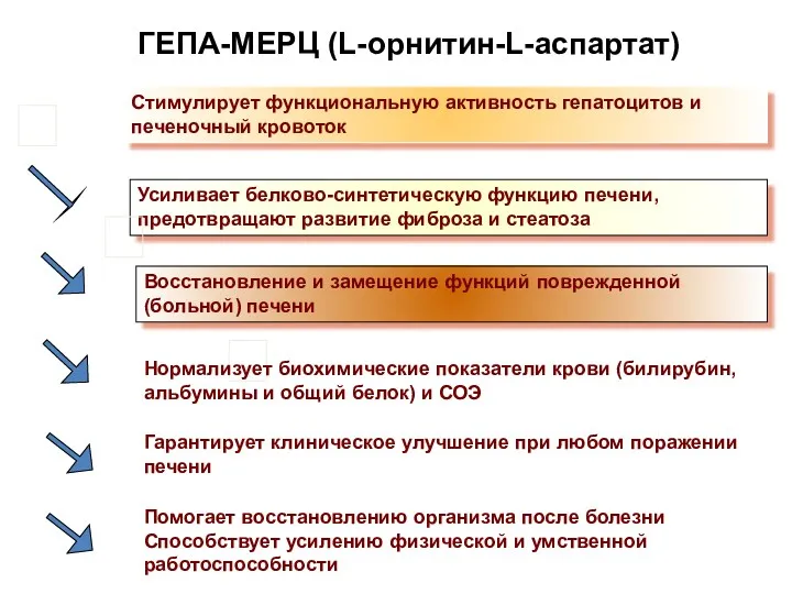 Усиливает белково-синтетическую функцию печени, предотвращают развитие фиброза и стеатоза Стимулирует