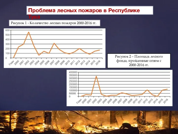 Проблема лесных пожаров в Республике Тува Рисунок 1 - Количество