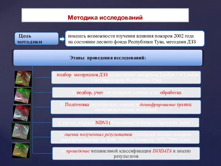 Цель методики показать возможности изучения влияния пожаров 2002 года на