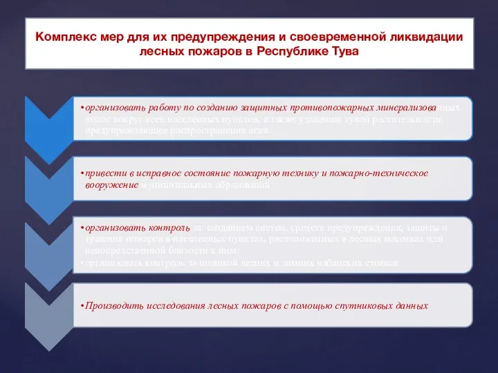 Комплекс мер для их предупреждения и своевременной ликвидации лесных пожаров в Республике Тува