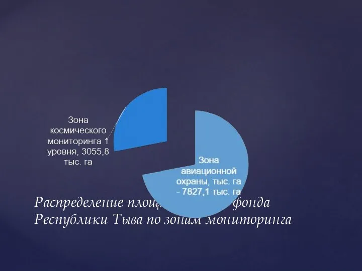 Распределение площади лесного фонда Республики Тыва по зонам мониторинга