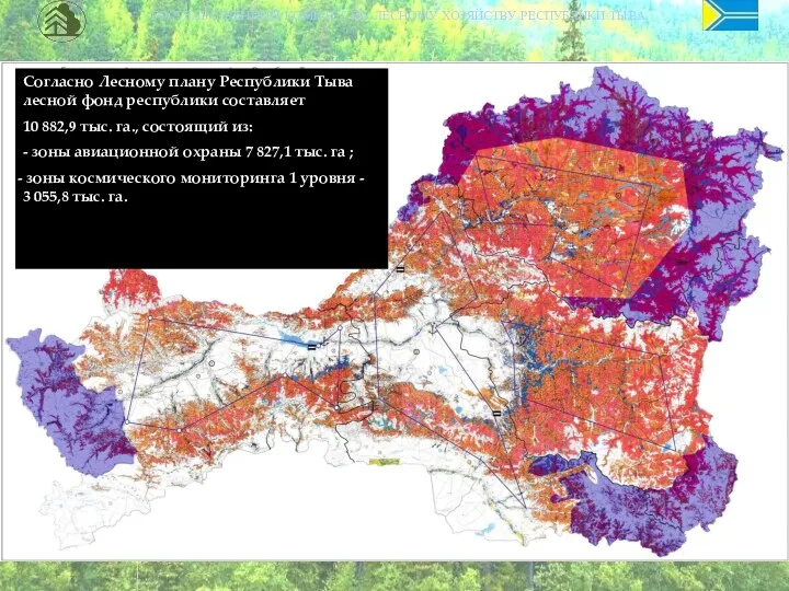 ГОСУДАРСТВЕННЫЙ КОМИТЕТ ПО ЛЕСНОМУ ХОЗЯЙСТВУ РЕСПУБЛИКИ ТЫВА Согласно Лесному плану