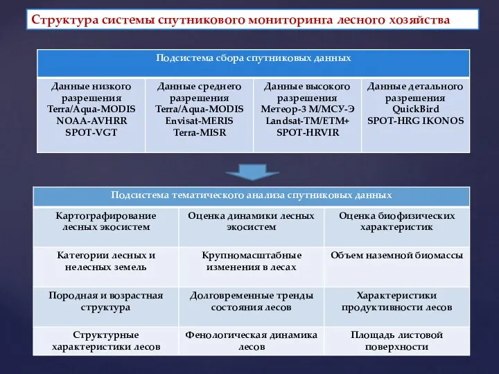 Структура системы спутникового мониторинга лесного хозяйства