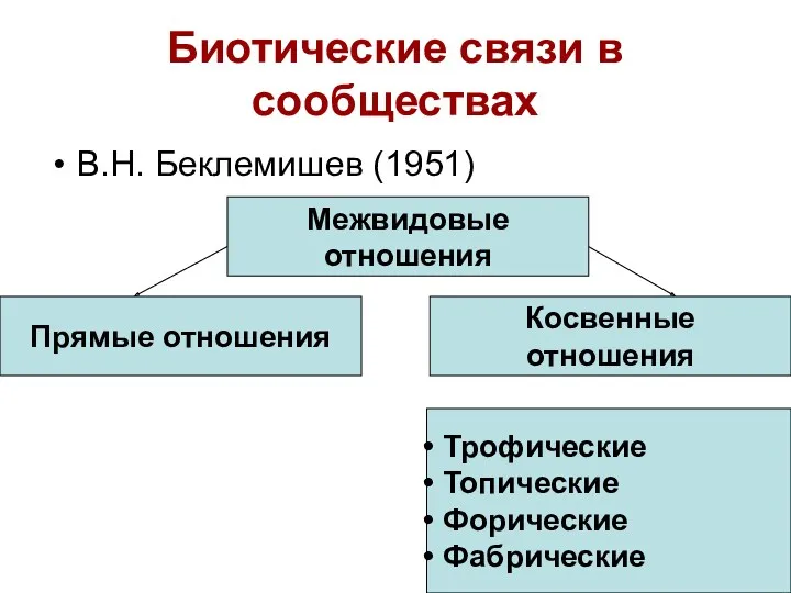 Биотические связи в сообществах В.Н. Беклемишев (1951) Межвидовые отношения Прямые отношения Косвенные отношения
