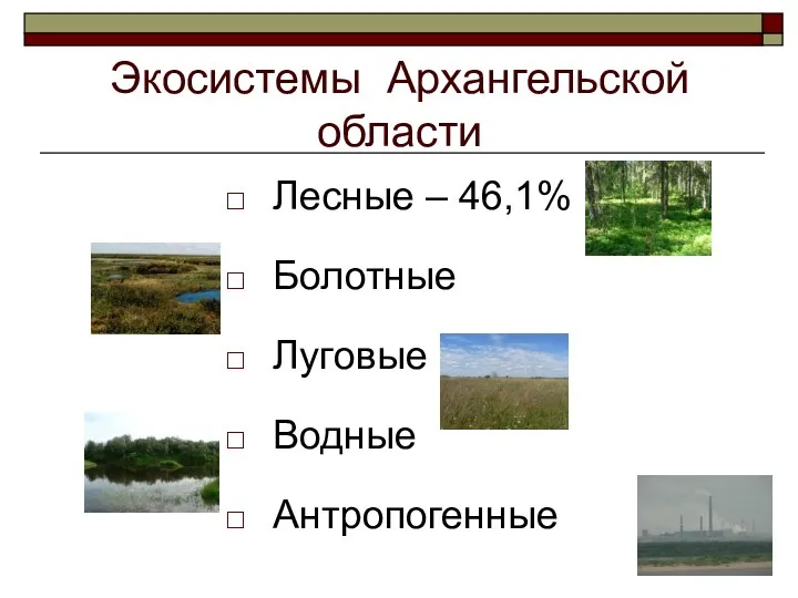 Экосистемы Архангельской области Лесные – 46,1% Болотные Луговые Водные Антропогенные