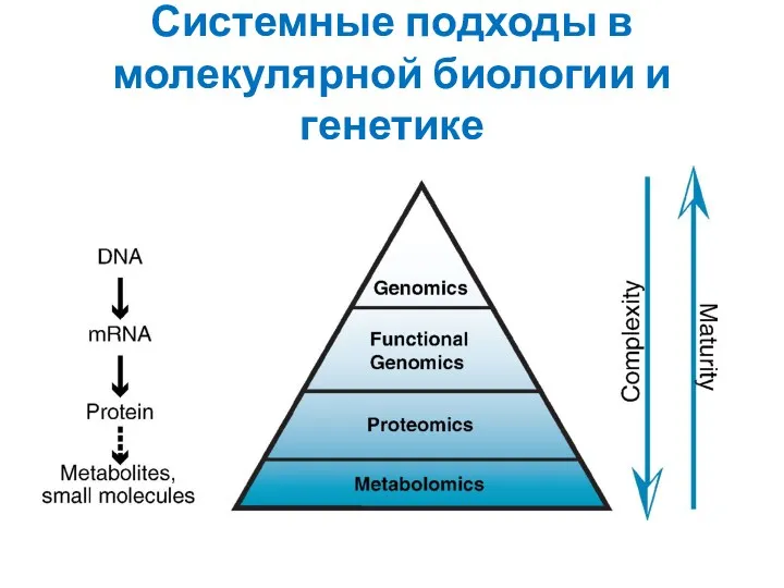Системные подходы в молекулярной биологии и генетике
