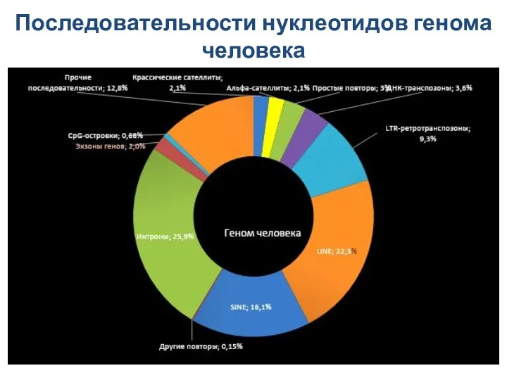 Последовательности нуклеотидов генома человека